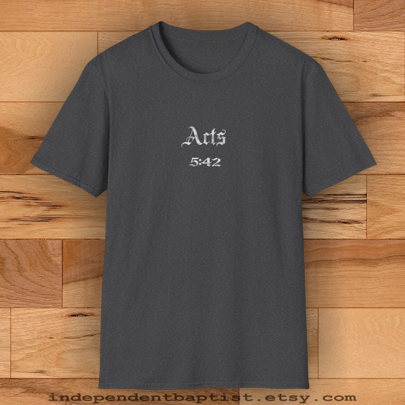 Mens Bible Verse T Shirt Acts 5:42